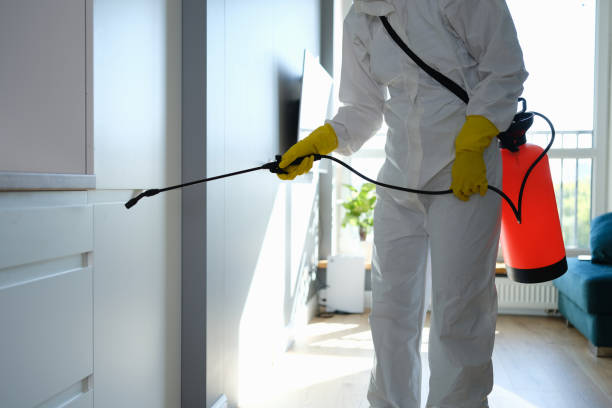 Best Office Mold Removal Services  in Church Point, LA