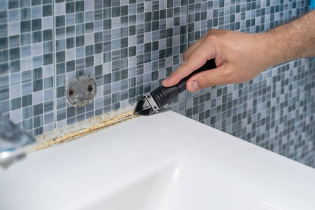 Best Mold Cleaning Services  in Church Point, LA